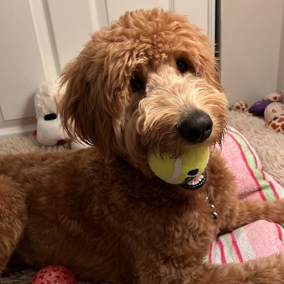 🌼 @Whosusananyways is Live 🌼 - Picture 3 of 4